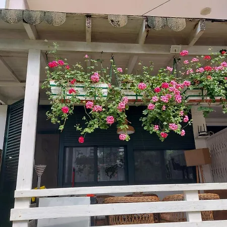 Shtepia E Luleve Golem (Tirana)