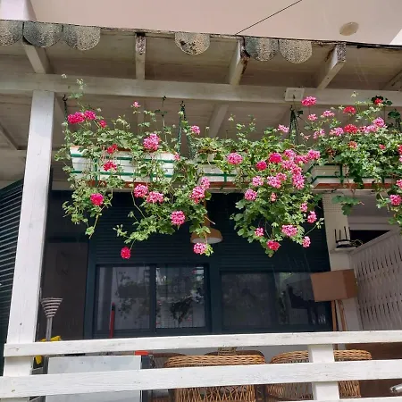 Apartmán Shtepia E Luleve Golem (Tirana)