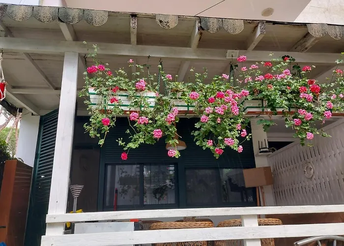 Appartement Shtepia E Luleve Golem (Tirana)